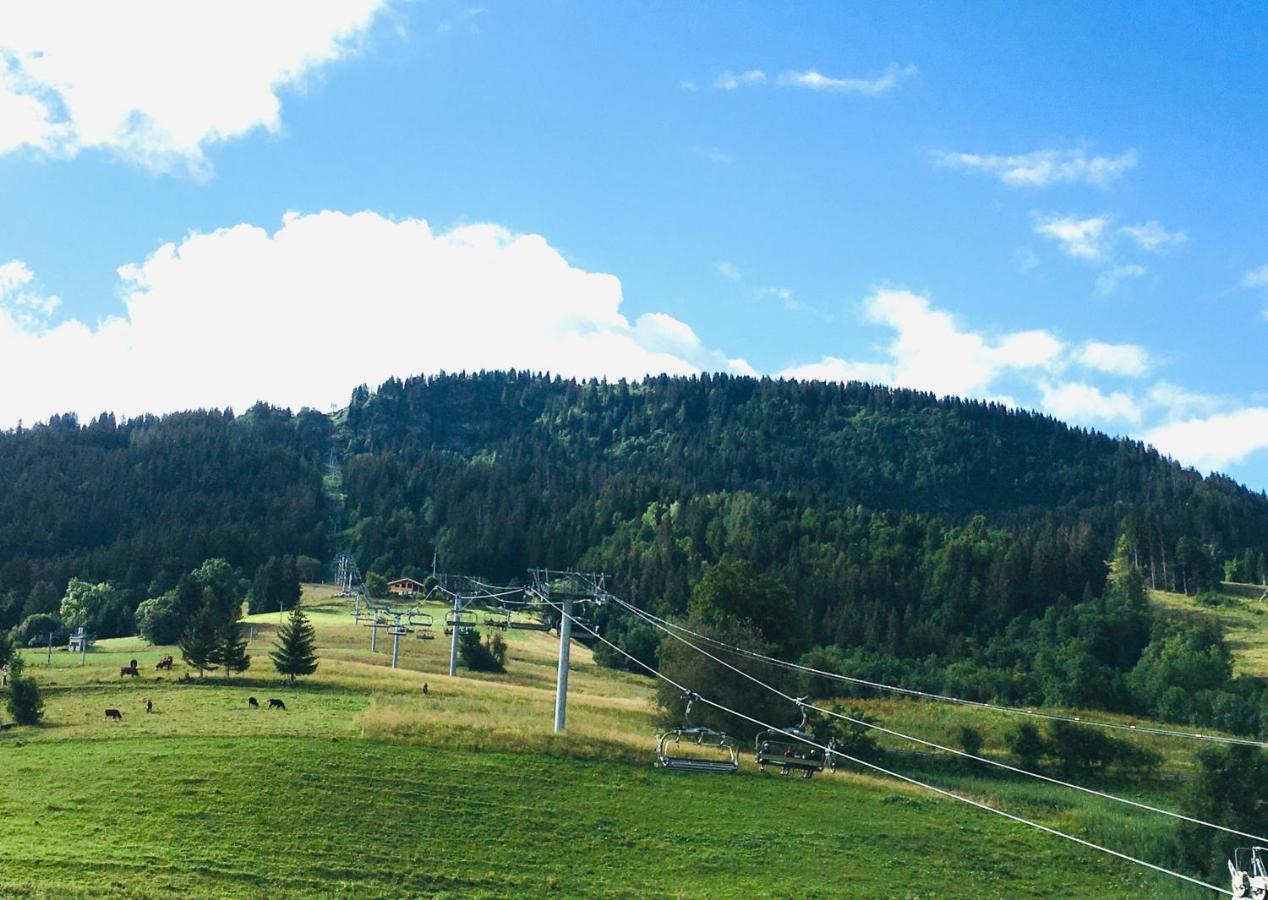 Le Nantoran Praz-sur-Arly Exterior foto